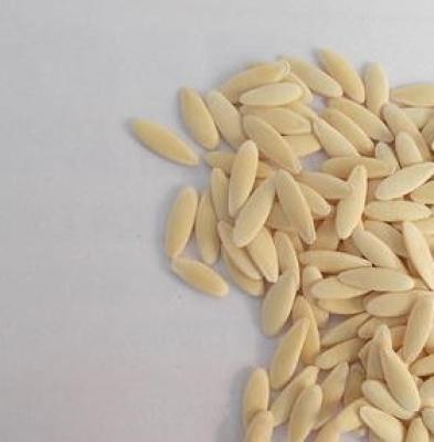 Sri Herbal Cucumber Seed – Ayurvedic Benefit and Natural Wellness